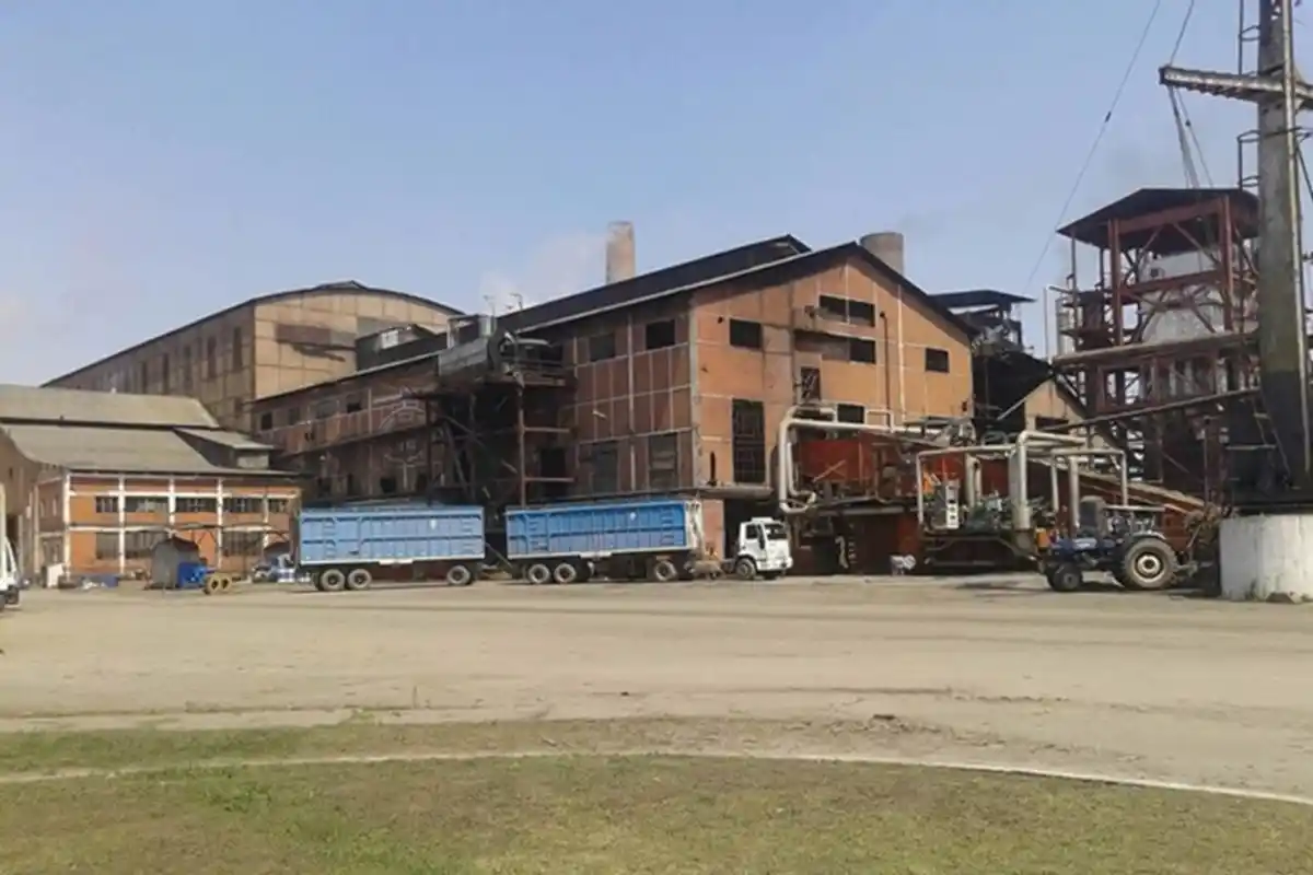 730x473_251029105615_65989