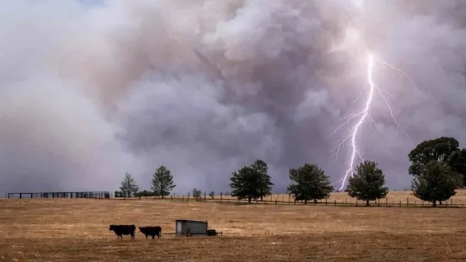 La ONU advierte que el fenómeno «El Niño» podría dejar a 16 millones de personas sin alimentos en América Latina