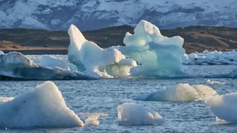 Preocupación por el hielo de la Antártida: alcanzó uno de sus niveles más bajos