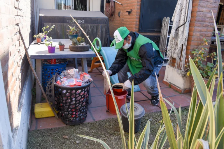 Cronograma semanal de operativos ambientales para prevenir chikungunya y dengue, del 14 al 18 de septiembre