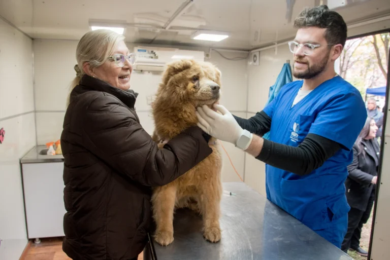 Dónde se brindará el servicio gratuito de castración para animales de compañía, del 14 al 18 de septiembre